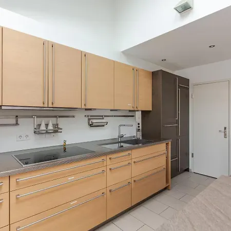 Apartment 10-12 Personen - Luxus Penthouse Zentrum - Thomaskirche *